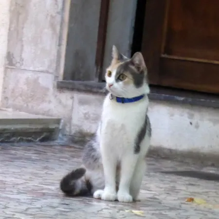 Hotel Casa Boccassini