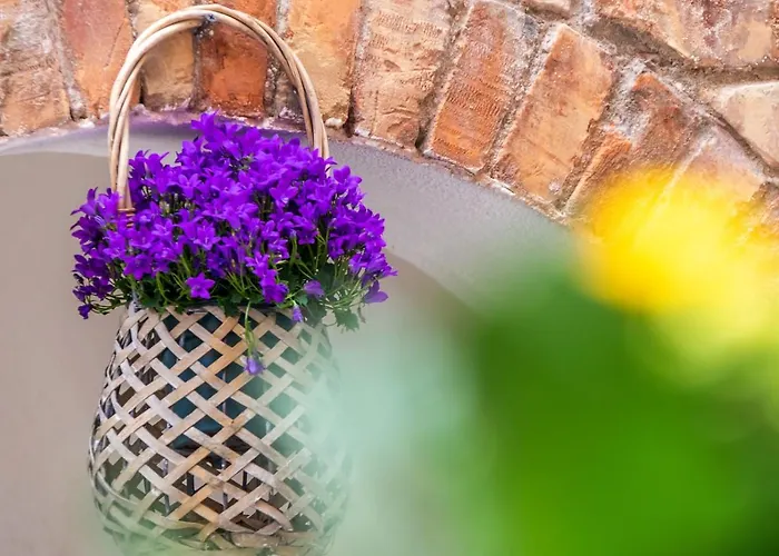 卡萨波卡希尼酒店 *