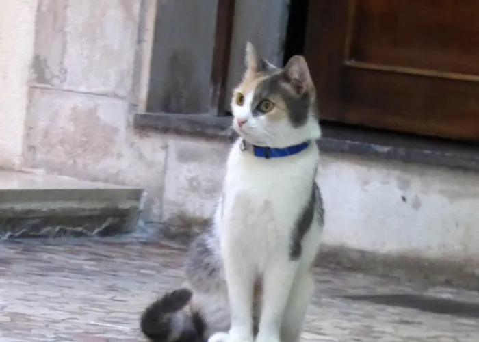 Hotel Casa Boccassini